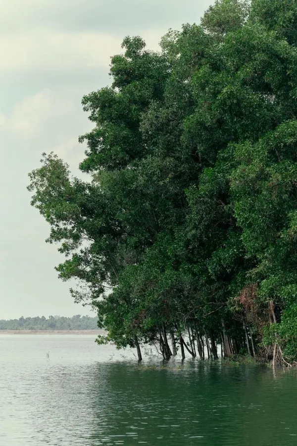 Gallery photo 11
